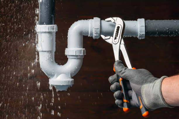 Professional Plumbing technician working in Linden, MI